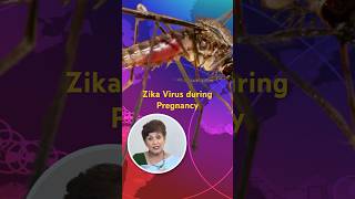 Zika Virus During Pregnancy  Dr Supriya Puranik drsupriyapuranik zikavirus zikavirussymptoms [upl. by Anib]