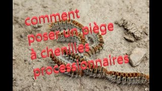 TUTO pose dun piège à chenilles processionnaires du pin à poser soit même facilement [upl. by Robillard]