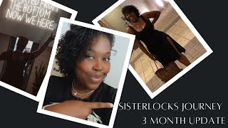 Sisterlock 3 Month Update ThinLow Density Hair [upl. by Anirdnajela]