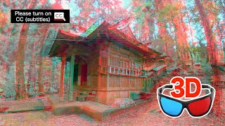 Anaglyph 3D Video  My favorite Shrine  redcyan glasses [upl. by Zaneski708]