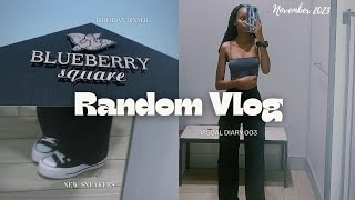 Visual Diary 003 Random Days Of My Life 🦋✨️November Vlog [upl. by Eidualc966]