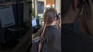 Blonde to brunette colorfill fallhair cosmetology beauty hairtransformation [upl. by Ronni406]