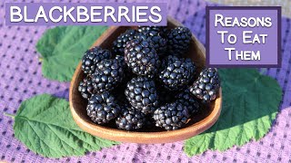 Blackberries and Their Beneficial Properties  Top Reasons to Eat Them [upl. by Hana]