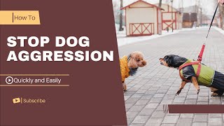 How to stop Dog Aggression quickly And easily  In a few steps [upl. by Nwahsirhc600]