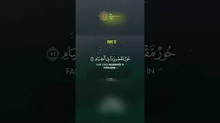 The CALMING Quran Recitation That Will Soothe Your Soul quran shorts [upl. by Aekim]