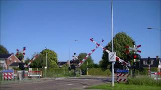 Spoorwegovergang Uithuizen  Dutch railroad crossing [upl. by Yddur]