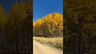 A day at Kenosha Pass colorado fall outdoors [upl. by Ldnek104]