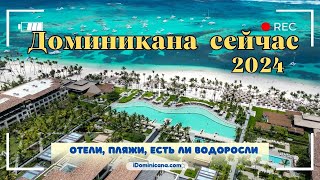 Доминикана сейчас 2024 отели пляжи есть ли водоросли  iDominicanacom [upl. by Sinnard]