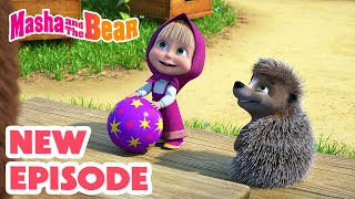 Masha and the Bear 2023 🎒 Liar liar pants on fire 🌿 30 min ⏰ Сartoon collection 🎬 [upl. by Almallah]