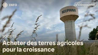 La ville de Neepawa veut s’étendre  Vidéojournal [upl. by Nadab810]