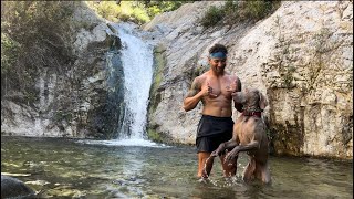 Hiked Switzerland Falls via Gabrielino Trail w Ghost in the Angeles National Forest CA waterfall [upl. by Quin662]