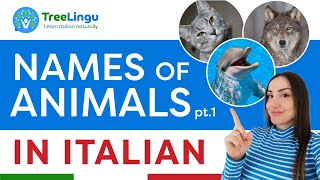 Italian animal vocabulary pt1  Impara con Treelingu 🇮🇹  Learn Italian naturally [upl. by Halimaj981]