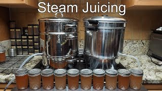 Steam Juicing Grapes [upl. by Koehler]