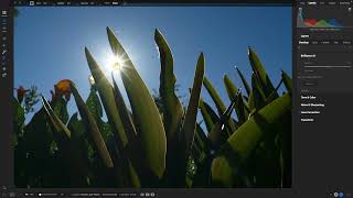 Sneak Peek – Navigating ON1 Photo RAW 2024 Whats New in the UI [upl. by Nuhsyar47]