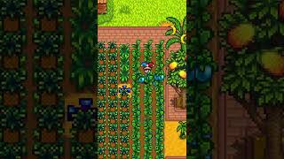 Every Time I Play Stardew Valleys End Game [upl. by Tonia]