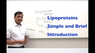 Lipoproteins  A Simple and Brief Introduction [upl. by Ahtnama]