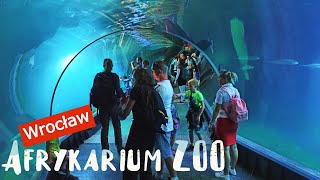 Afrykarium  Oceanarium  Wrocław ZOO [upl. by Shani909]