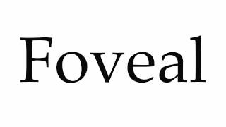 How to Pronounce Foveal [upl. by Dorice453]