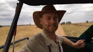 Mbalageti Serengeti Game Drive Experience Review Wildebeest [upl. by Argent]