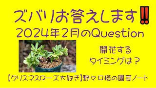 ズバリお答えします‼️ 2024年2月の Question [upl. by Andrien133]