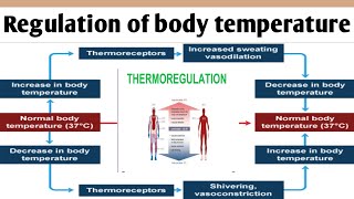 Regulation of body temperature  Thermoregulations  Gnm  bsc nursing  anatomy and physiology [upl. by Ellatsirhc]