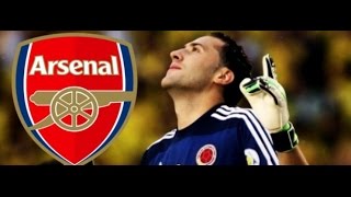 David Ospina  Safe Hands 1314 HD Welcome to Arsenal [upl. by Ellennoj]