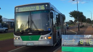 Regional Loops TransBusselton Route No 816 TP1464 Vasse to Busselton Town Centre [upl. by Foley]