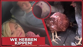 WE HEBBEN KIPPEN 🐔  2227 [upl. by Nosnorb]