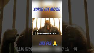 Dolittle  Robert Downey Jr  Adventure Movie  Movie Explain  Movie Review in Hindi  shorts [upl. by Erikson]