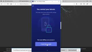 Bitpay API Integration with AspNET Core  Bitcoin Payment Gateway The Future [upl. by Hotchkiss]