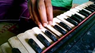 How to Play Nagin Tune on Harmonium [upl. by Mayhs]