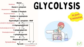 Glycolysis  Made easy in just 5 min  Biochemistry  Medinare [upl. by Nommad205]