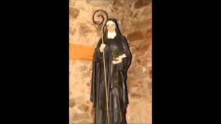 Hildegard von Bingen  O Rubor SanguinisFavius Distillans Sequentia [upl. by Savdeep572]