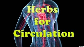 HERBS FOR CIRCULATION [upl. by Magdaia237]