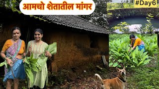 आमचो शेतातील मांगर । farmhouse konkan [upl. by Airet]