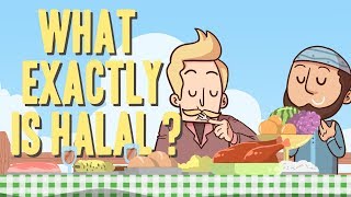 What Exactly Is Halal  Mufti Menk [upl. by Almeta536]