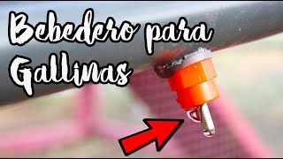 Que Tus GALLINAS No Pasen Sed Construye Este BEBEDERO Casero AUTOMÁTICO 💧🐓 Sistema Agua Infinita [upl. by Elac111]