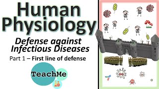 63  INTRO amp First Line Of Defence  Immune system PART 1  IB Biology  TeachMe [upl. by Amadas866]