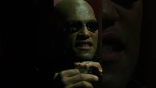 Morpheus Warns Neo About the Matrix Sequels [upl. by Burney]