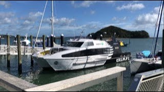 Paihia  Gateway to the Bay Of Islands  New Zealand Marathi Vlog [upl. by Gerlac]