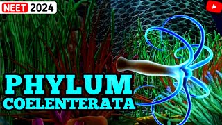 NonChordates PHYLUM COELENTERATA Animal KingdomClass11thNEETPhysicsWallah [upl. by Ailev]