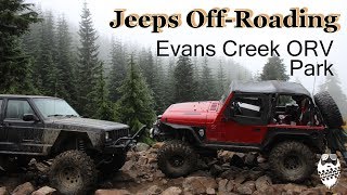 Jeep Wrangler TJ amp Cherokee XJ OffRoading Evans Creek ORV Park [upl. by Elonore]