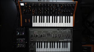 Analog synth jam with the Roland SH101 Moog Subsequent 37 Walrus Sloër Source Audio Ventris [upl. by Ycrem819]