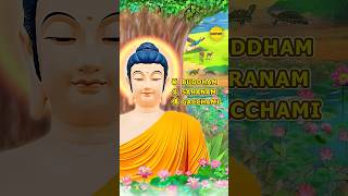 BUDDHAM SARANAM GACCHAMI  皈依佛  BUDDHIST MUSIC VIDEO [upl. by Llerryt]