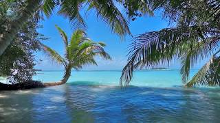 🌴 Ocean Ambience on a Tropical Island Maldives with Soothing Waves amp Paradise View for Relaxation [upl. by Iveksarap]