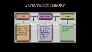 Understanding Management Video [upl. by Adrea449]