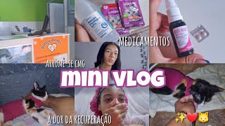 CASTRANDO MINHA GATA de 4 MESES🐱VLOG COMPLETÃO [upl. by Buine]