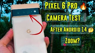 Pixel 6 Pro Camera Review  Google pixel 6 pro camera test Google 6 Pro camera test in 2024 [upl. by Ennaear276]