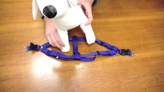 PetChampion  Step in Harness How To [upl. by Oskar]