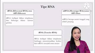 Proses Sintesis Protein dalam Kaitannya dengan Penyampaian Kode Genetik DNARNAProtein [upl. by Acsot]